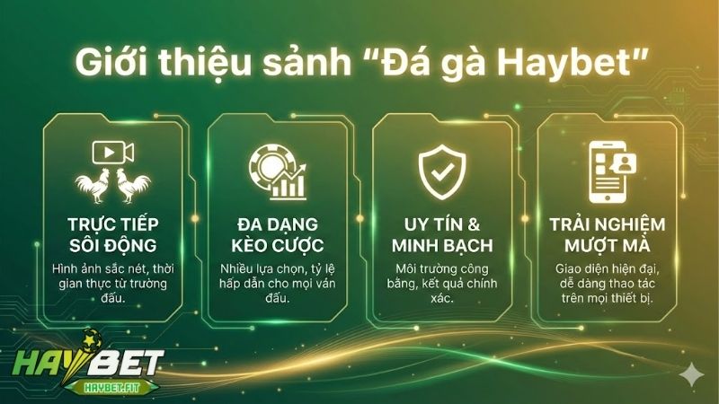 da-ga-haybet-cac-tran-dau-kich-tinh-tu-nhung-bo-ga-hang-dau