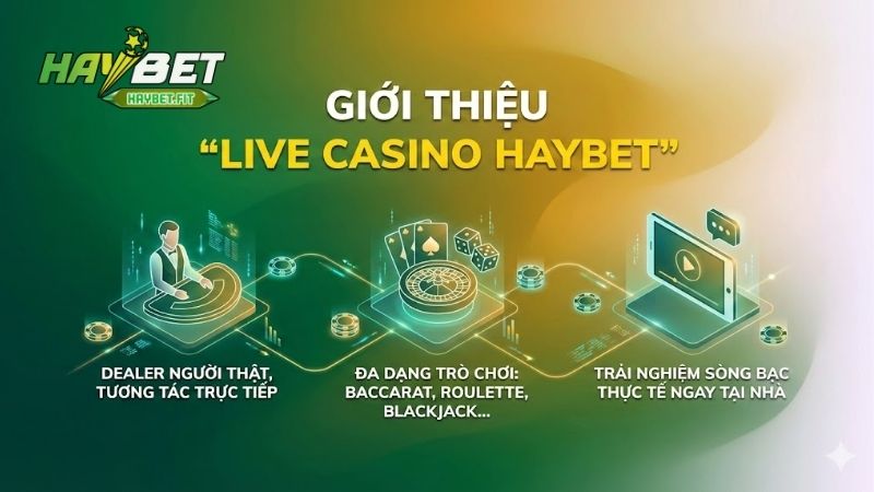live-casino-haybet-diem-hen-ca-cuoc-truc-tuyen-ly-tuong